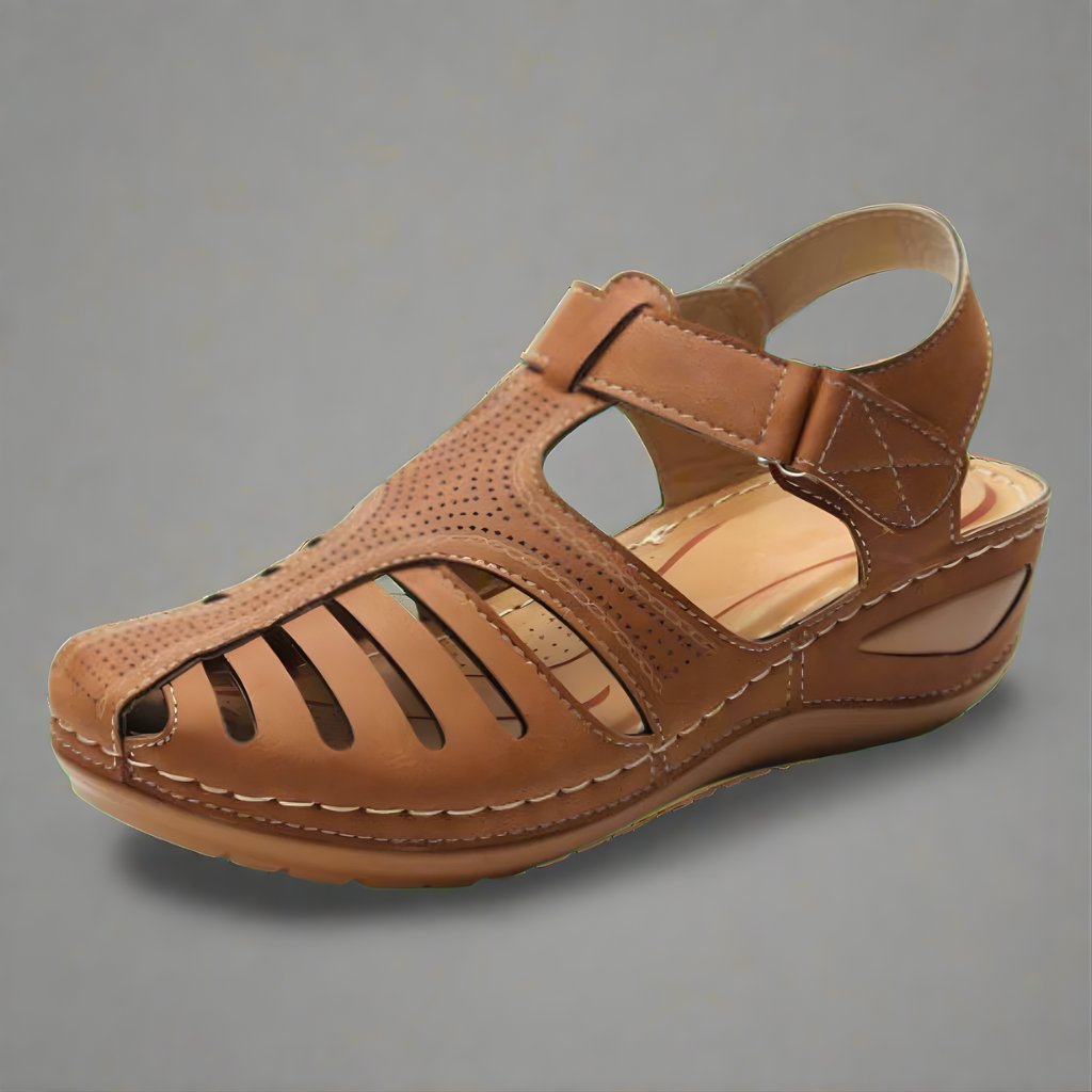 Brown / 12