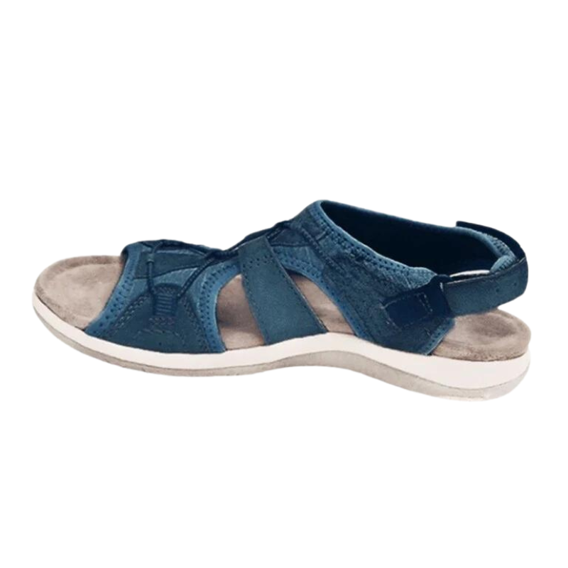 Navy Blue / 12